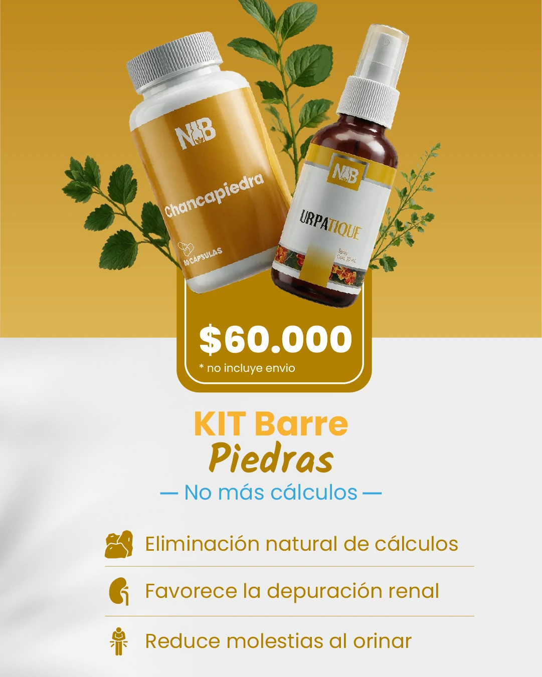 banner vertical barre piedras - Nutriboticario