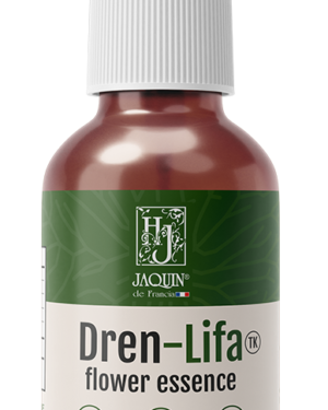 Dren-lifa (drenador linfático)