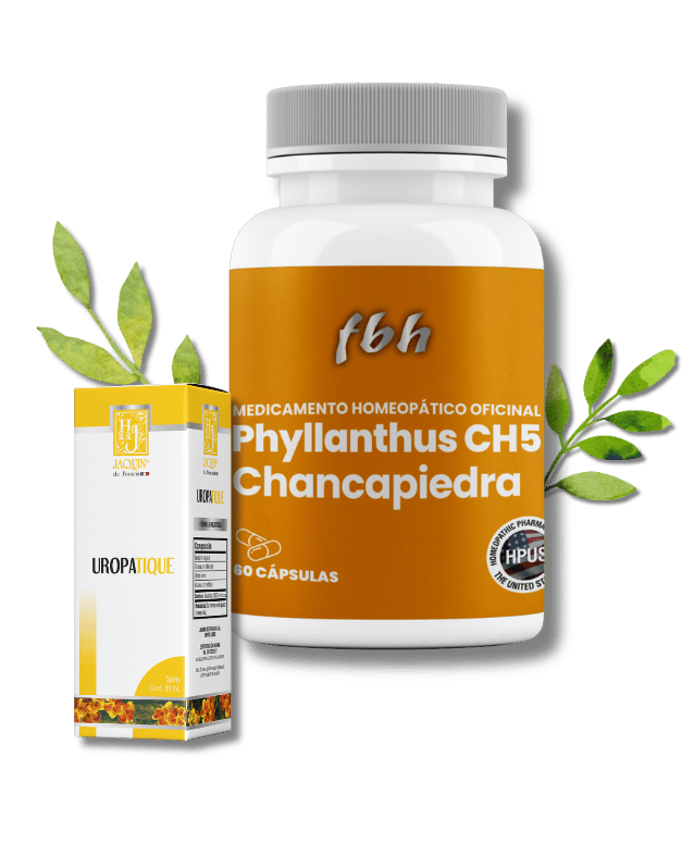 Kits - Nutriboticario Beneficios (4)
